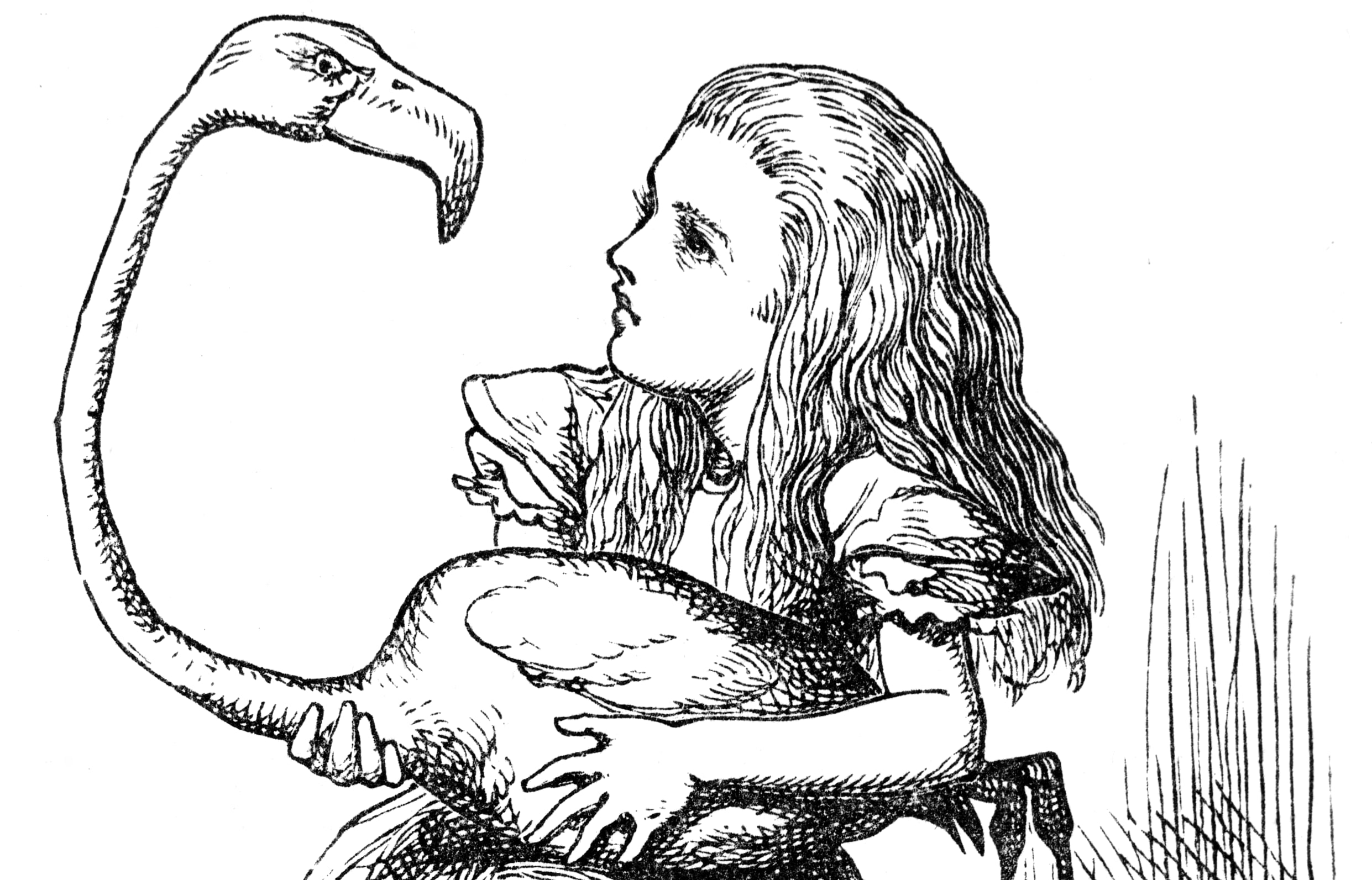 Alice playing croquet with a flamingo
