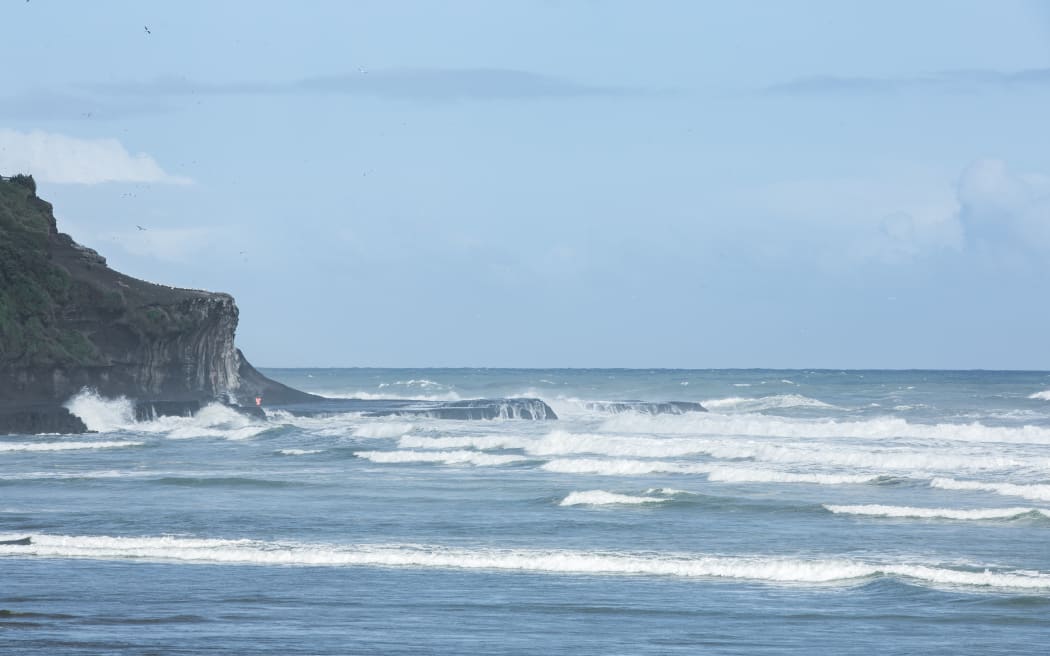 Muriwai Beach