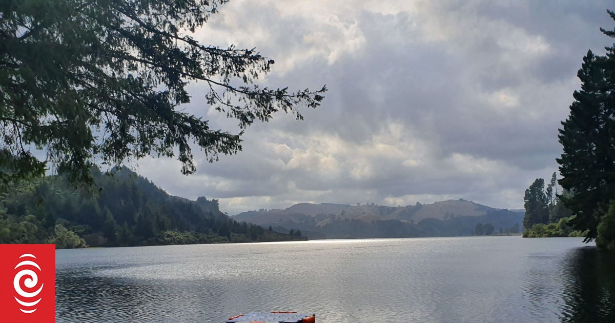 Renewable energy generation hits new high, gas at 46-year low - RNZ