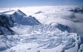 Fox Glacier
