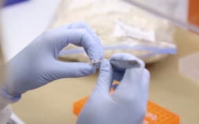Obtaining sample for fibre typing