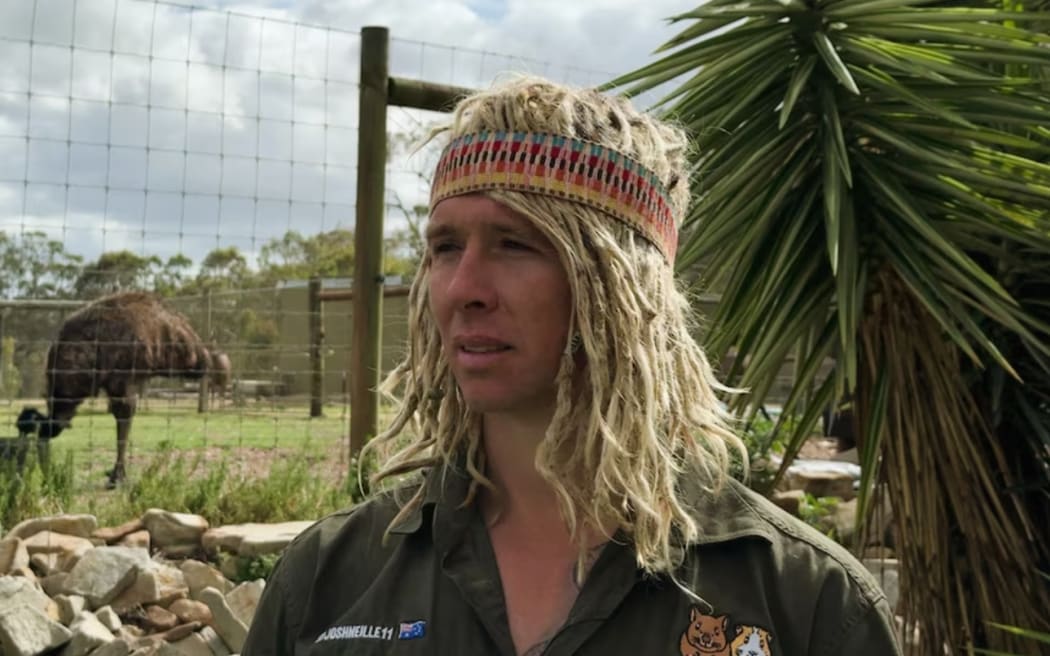 Josh Neille describes the healing procedure as being a "panel beater" for turtles.