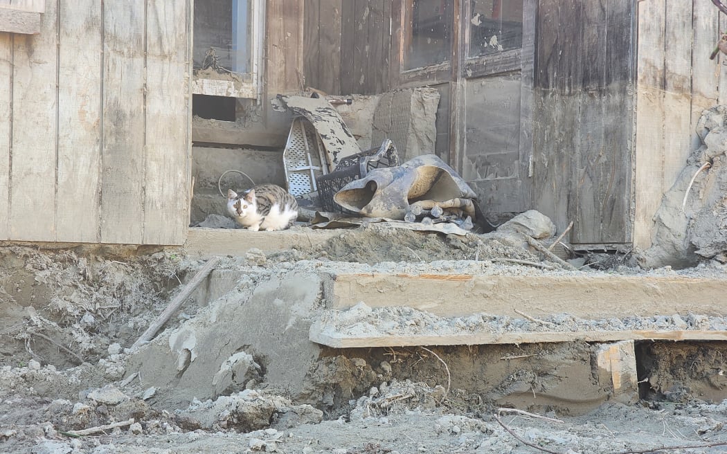 Steve Wheeler's home in Eskdale was destoyed in Cyclone Gabrielle.