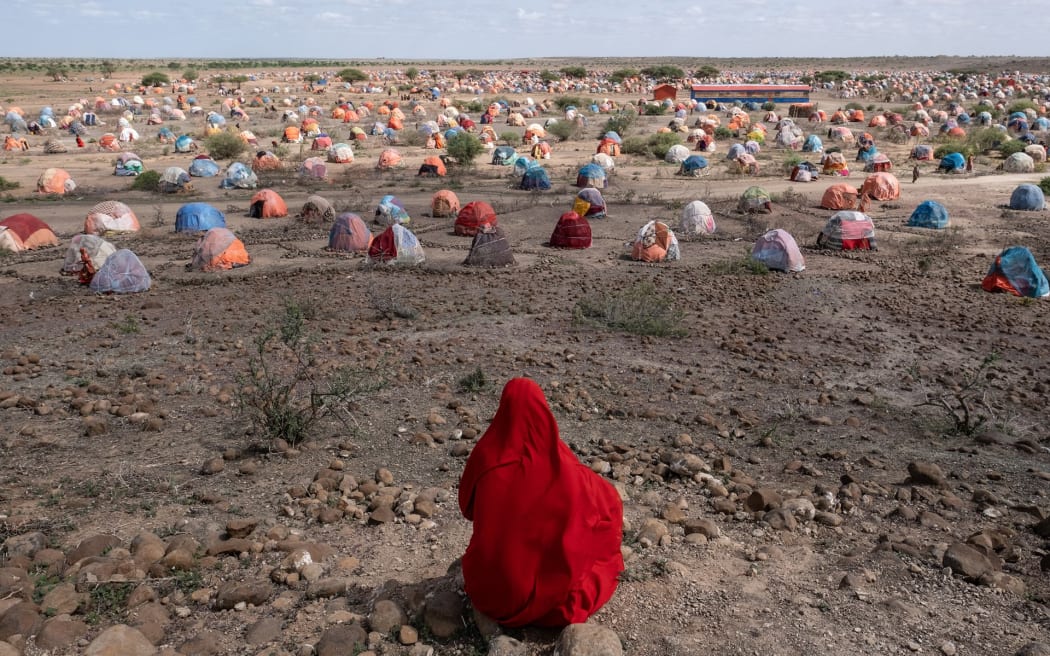 World Press Photo competition, honorable mention winner