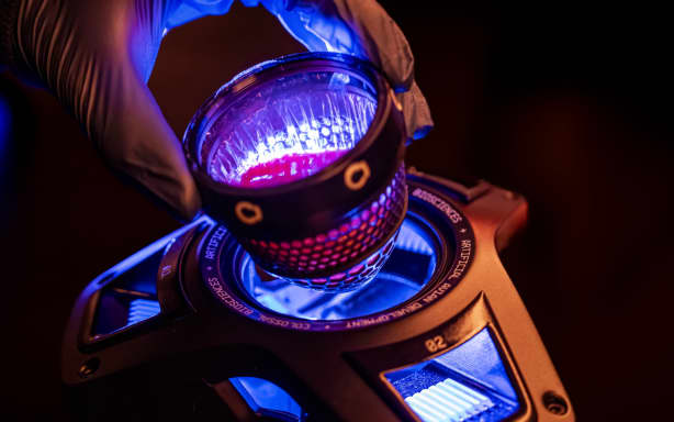 Colossal Biosciences says breakthrough means it's a step closer to ...