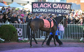 Strapper Donna Fisher parades Australian thoroughbred racehorse Black Caviar in the mounting yard for the last time during her farewell at Caulfield Racecourse in Melbourne on April 20, 2013.  The mare has been retired from racing after winning a record 25 races from 25 starts. IMAGE RESTRICTED TO EDITORIAL USE - STRICTLY NO COMMERCIAL USE   AFP PHOTO / Paul CROCK (Photo by PAUL CROCK / AFP)
