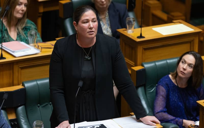 Labour criticise government changes to Temporary Additional Support | RNZ