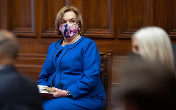 The Leader of the Opposition Judith Collins raises an eyebrow