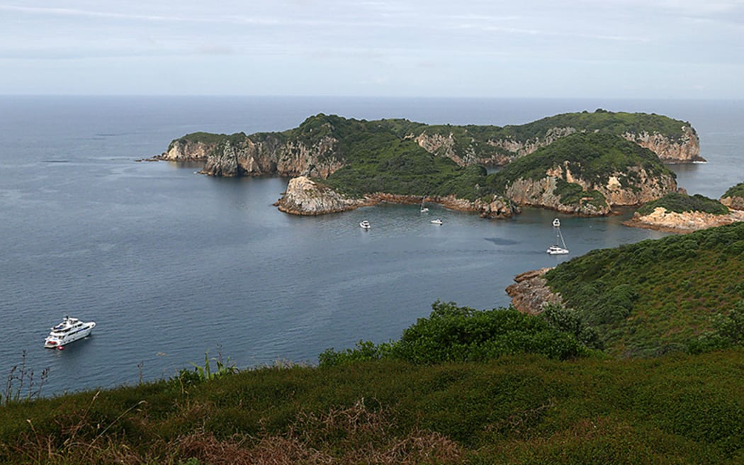 View from Burgess Island, Moko Hinau