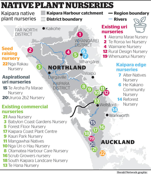 Kaipara Harbour catchment and nurseries.