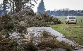 Trees down after gales at Birch Hill Rd, Glentui, Canterbury.