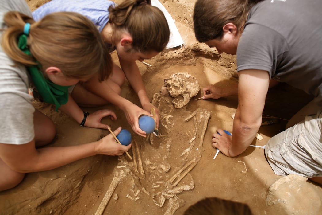 A team of foreign archaeologists extract skeletons.