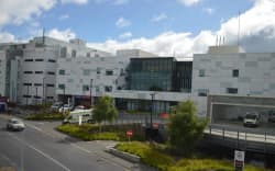 Waikato Hospital
