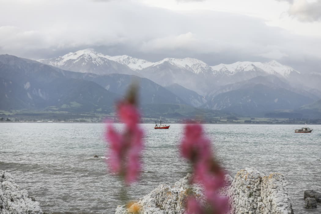 Looking towards Kaikoura ranges.