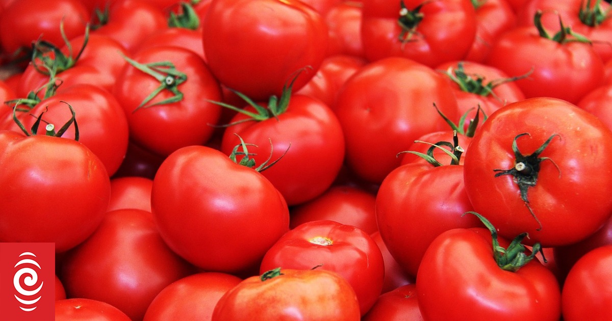 Wattie's NZ taking fewer tomatoes, corn, beetroot until demand increases