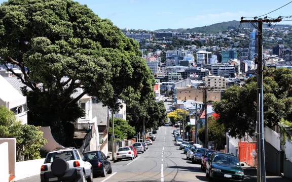 14301140 - wellington, new zealand - street with cars parked alongside