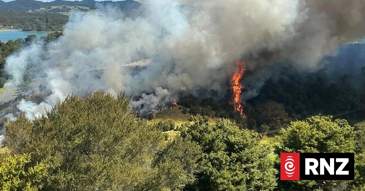 FENZ says people ignoring fire season safety warnings, warns against ...