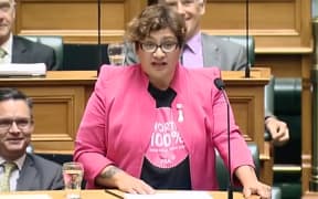 Green Party co-leader Metiria Turei wearing a pay-equity t-shirt in the House.
