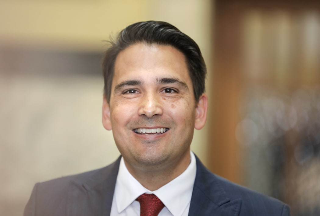 Simon Bridges will stand for National Party leader.