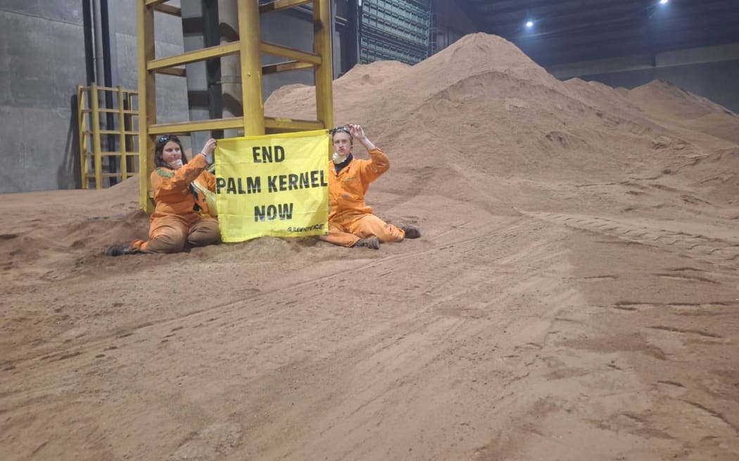 Six Greenpeace activists are occupying part of Taranaki's port to protest Fonterra's use of palm kernel.