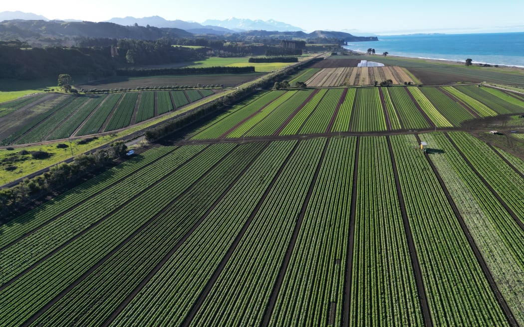 Scott Fresh farm