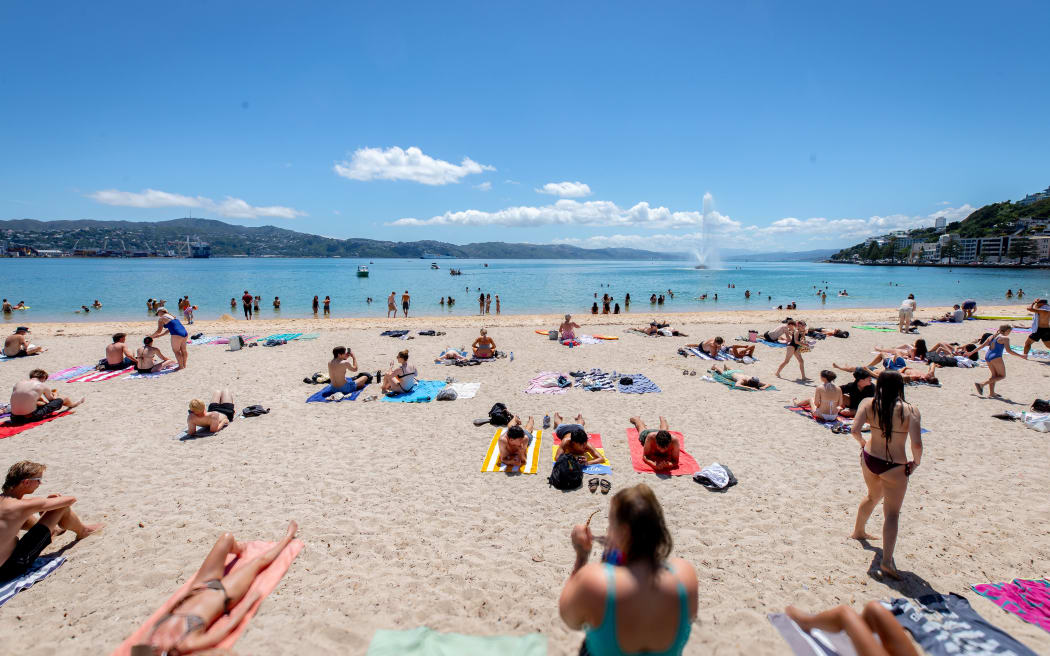 oriental parade wellington nz-1