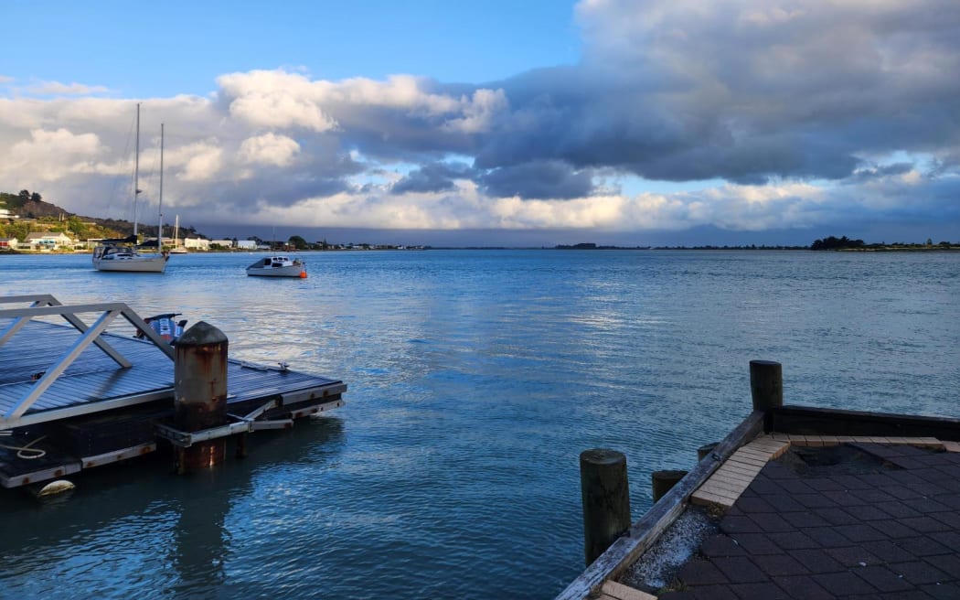 Scene at Moncks Bay after whale stranding