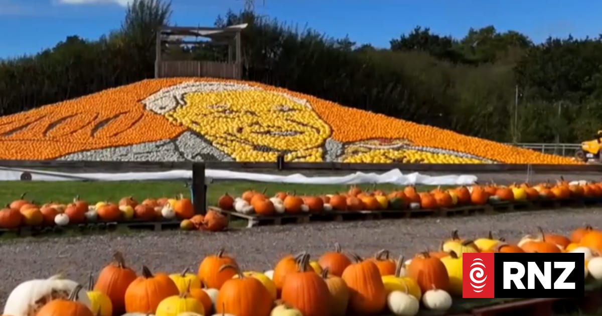 Pumpkin mosaic of David Attenborough breaks world record