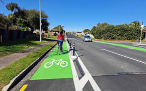 New cycle lane barriers on Links Ave.