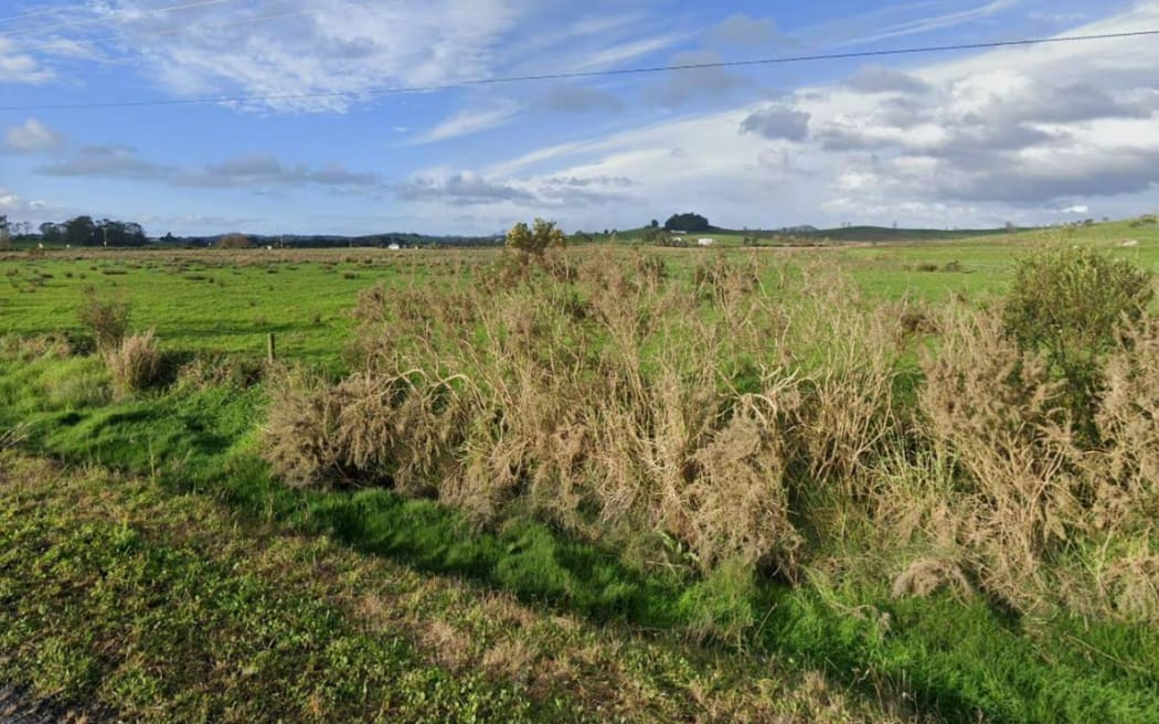 The farm in Poroti, near Whangārei, where cows were discovered to be in poor condition.