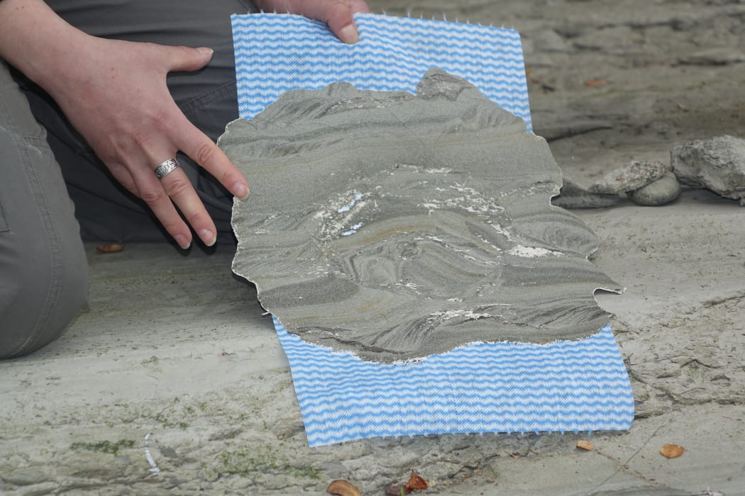A silicon imprint of a dinosaur footprint.