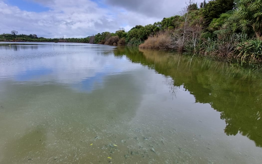 People have been told to avoid the water at Lake Ngangana.