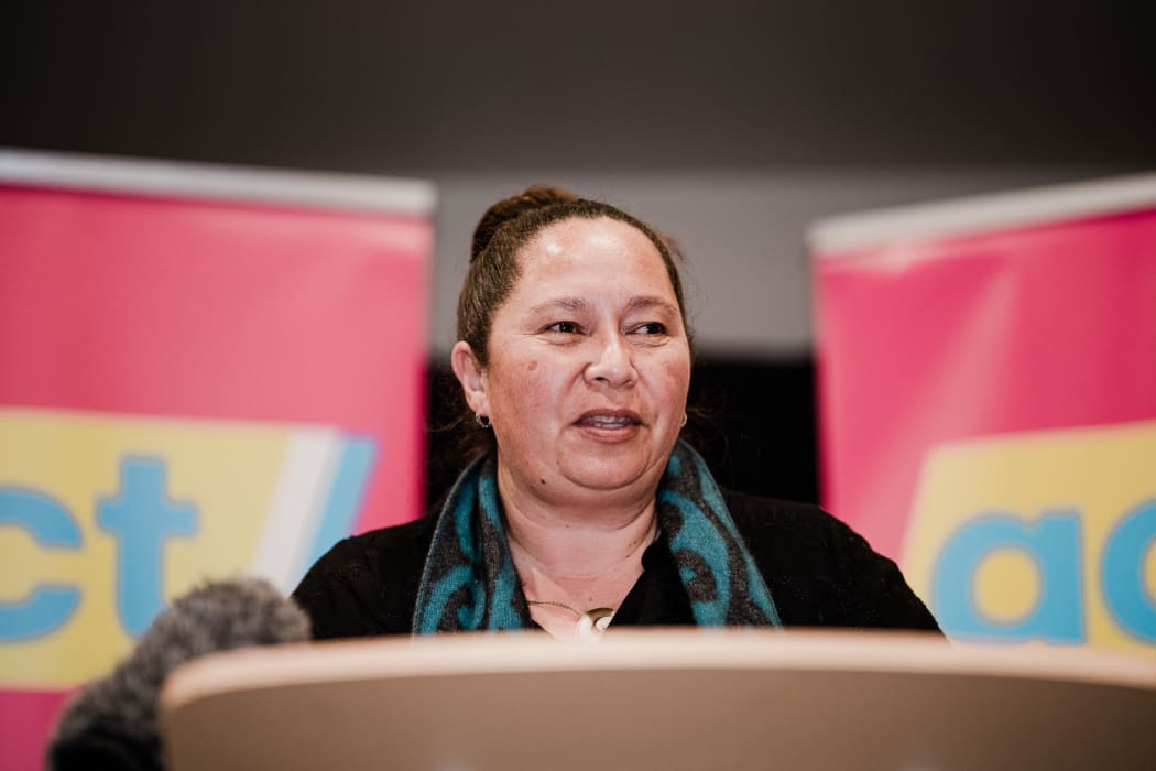 ACT's Rongotai candidate Nicole McKee in Te Anau for the launch of the party's tourism policy.