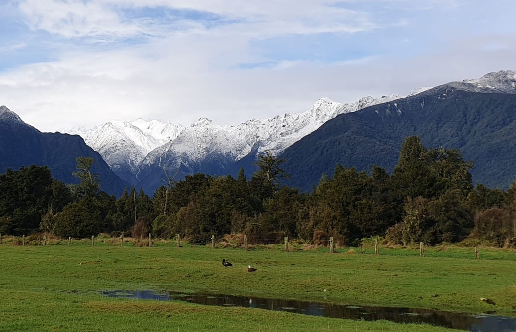 May 31st 
The mountains received a fresh dump of snow that Fox Glacier residents say reached lower down the mountainside.