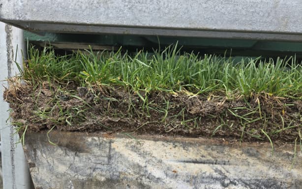 Eden Park: Getting the ground ready using decades of data | RNZ