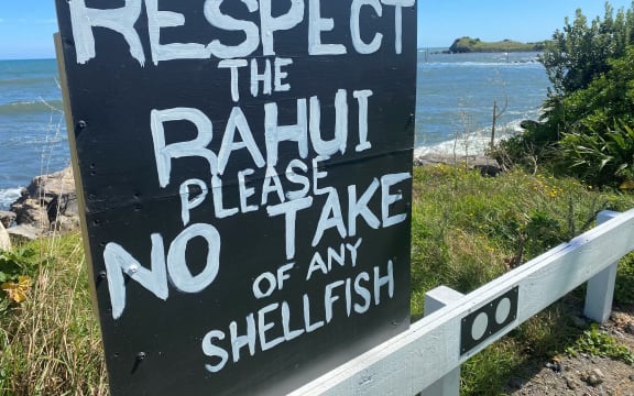The rāhui has largely held for four years but there's been illegal taking of kaimoana including by headtorch at night. (Te Korimako o Taranaki file)