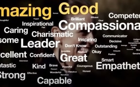 Newshub's word cloud created by pollster Reid Research.