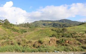 PNG Highlands Highway - forrest