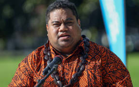 Ōtara-Papatoetoe Local Board chair Apulu Reece Autagavaia backs increasing council terms from three to four years.