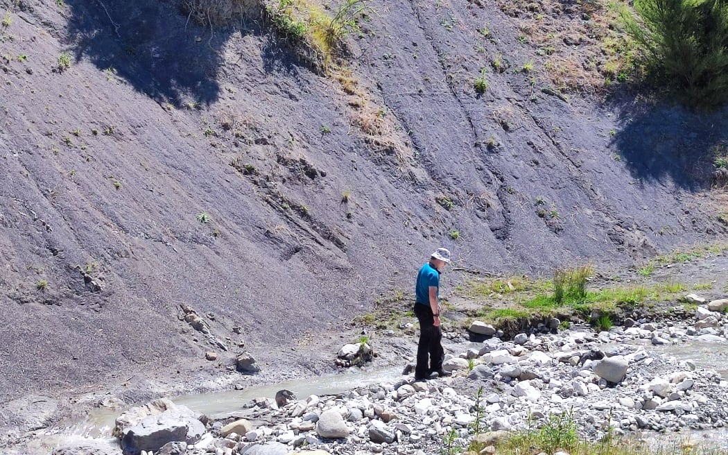 The site where the fossil was found in Coverham at the northern end of Clarence River Valley in North Canterbury in February 2023.