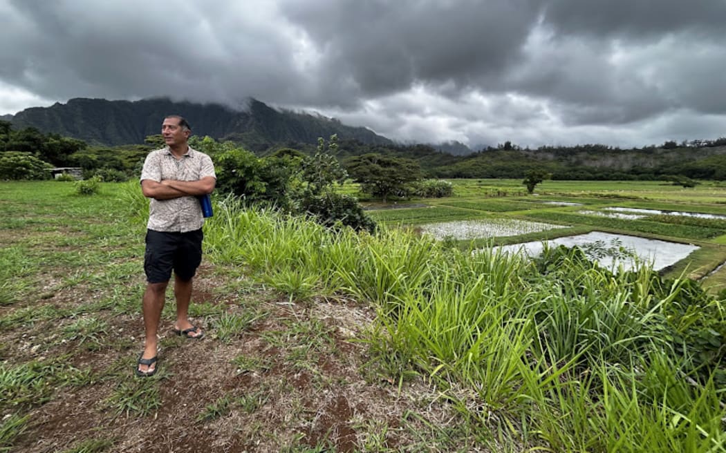 Dr Kawika Winter at the lo'i kalo at Kākoʻo ʻŌiwi.
