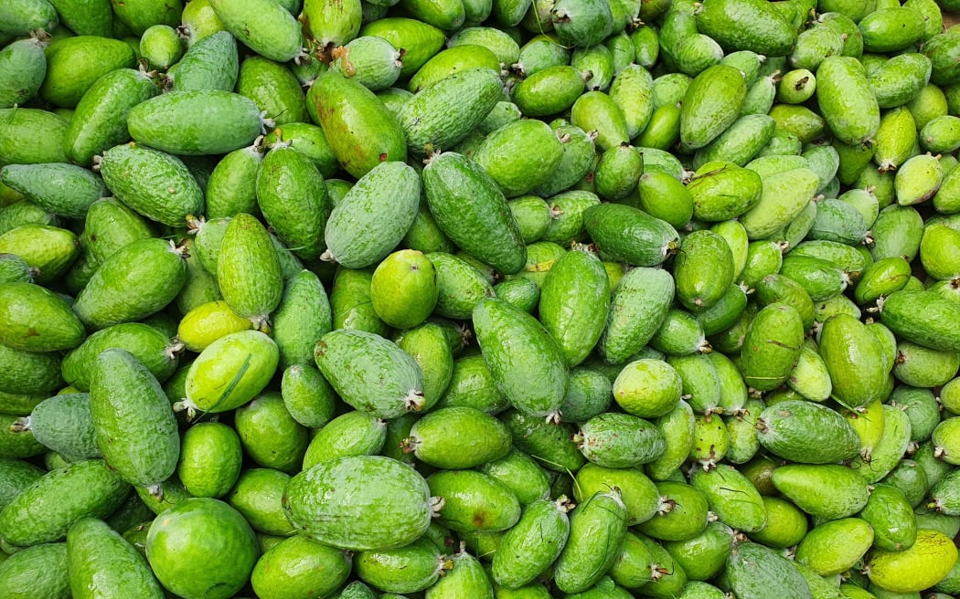 Heather Smith planted 2000 feijoa trees after discovering the fruit when she arrived in New Zealand in 1996.