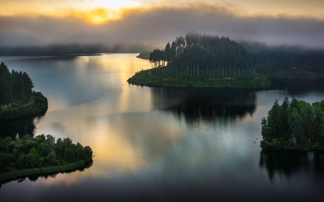 Lake Rotokākahi, Green Lake, near Rotorua.