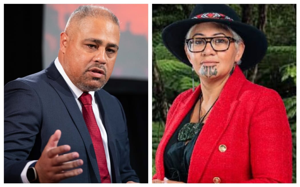 Peeni Henare and Takutai Tarsh Kemp