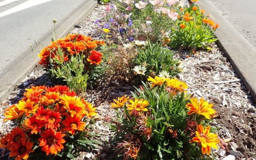 Ling planted the barren intersection in Woolston with a range of colourful flowers.