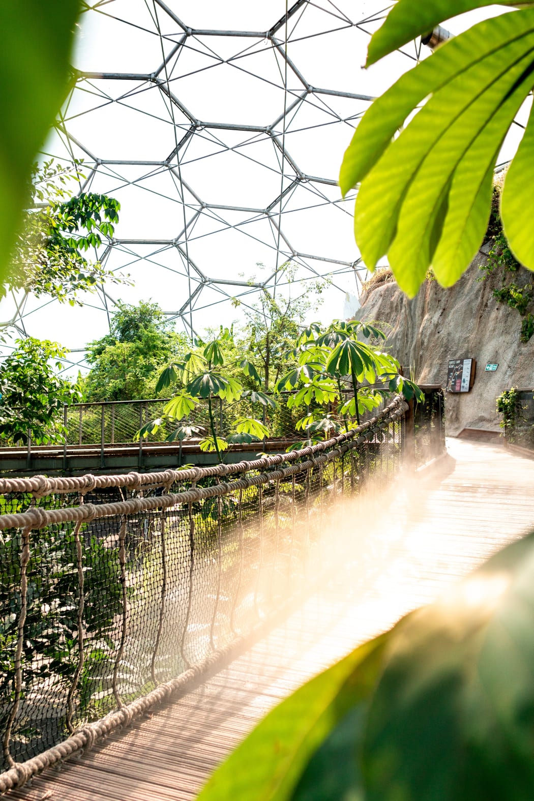 Inside the Eden Project in the UK.
