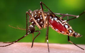 Experts say climate change will create more areas where mosquitoes can spread dengue virus.