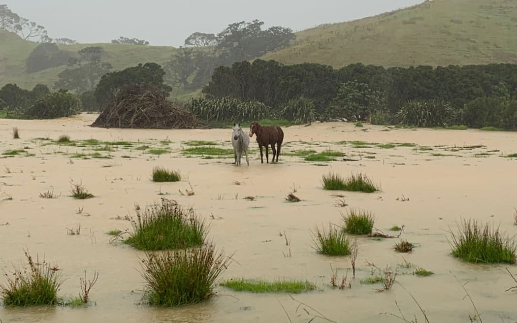 Flooding in Mimiwhangata near Whangārei, on Sunday morning.