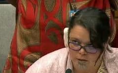 Tina Ngata giving a submission to the UN Permanent Forum for Indigenous Issue - which caused a media frenzy 10 weeks later.