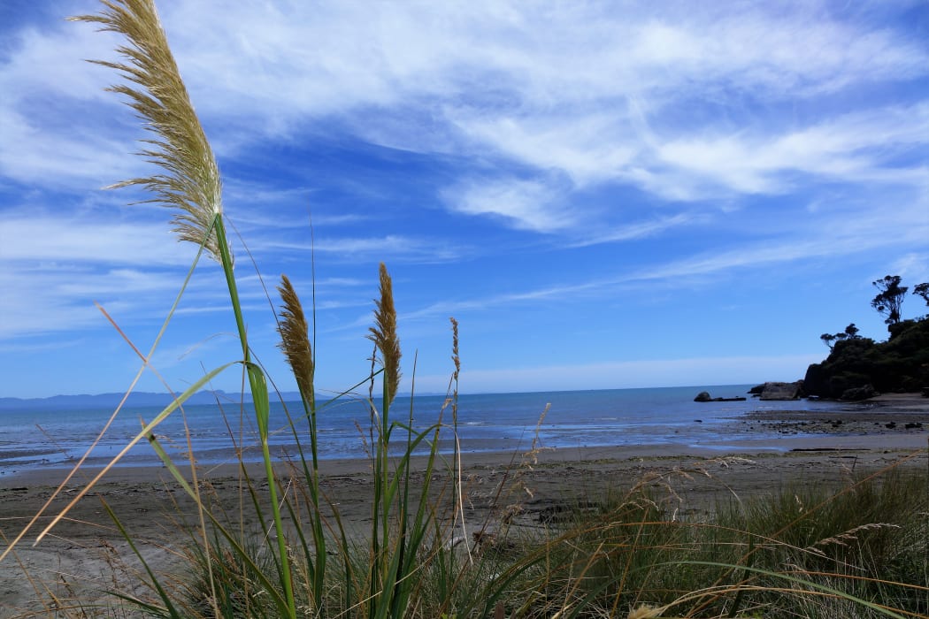 Golden Bay is considering separating from the Tasman District Council.